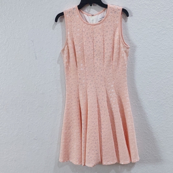 Calvin Klein Elegant Sleeveless Lace Dress in Soft Pink - Picture 3 of 17